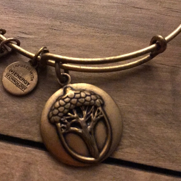 Alex and ani bracelet - Picture 3 of 4